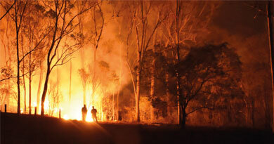Küresel Isınma ve Orman Yangınları