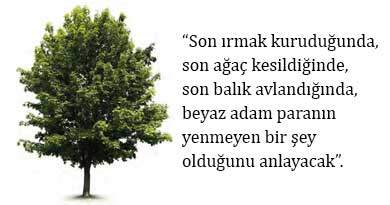 Ekonomik Büyüme ve Çevresel Kirlilik Arasındaki İlişki